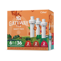 Gateway Tea® 6-Pack Variety Pack